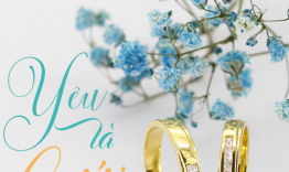 Ngày nay, nhẫn cưới nên đặt hay mua? Những cặp nhẫn đáng để uyên ương lựa chọn trong năm 2020