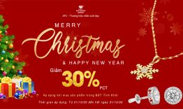 Merry christmas and Happy new year