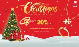 MERRY CHRISTMAS AND HAPPY NEW YEAR 2022