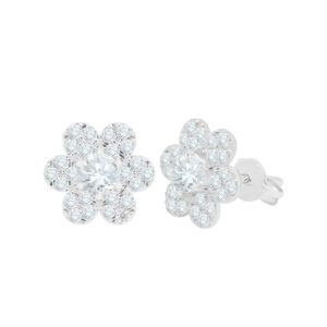 Bông Tai Nữ Vàng Trắng 18K - BTMTDB0153