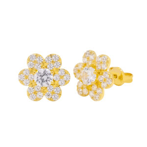 Bông Tai Nữ Vàng Vàng 18K - BTMTDB0153-1